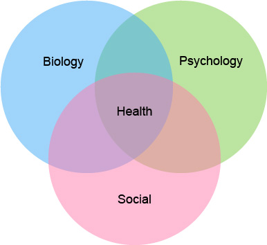 Biopsychosocial approach to understanding health