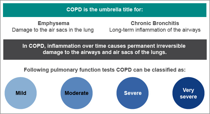 COPD is the umbrella term for emphysema and chronic bronchitis