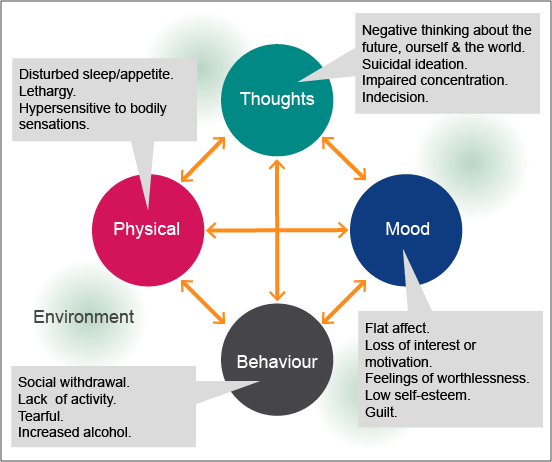 What is depression?: Thoughts, Mood, Behaviour, Physical and Environment