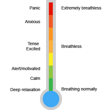 Adrenaline thermometer